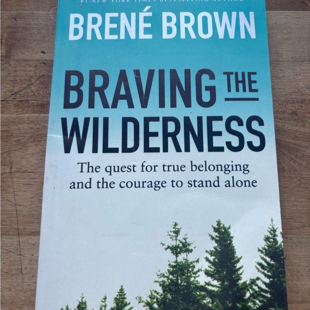 3/$20 Brené Brown 'Braving the Wilderness' Book